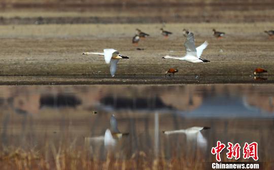 ������������������ɹš��Ҵ���(ͼ)