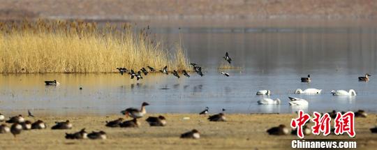 ������������������ɹš��Ҵ���(ͼ)