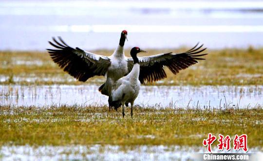 �����غ�ʪ��ӭ���ھ��׼���ȡ����¡���ͼ��