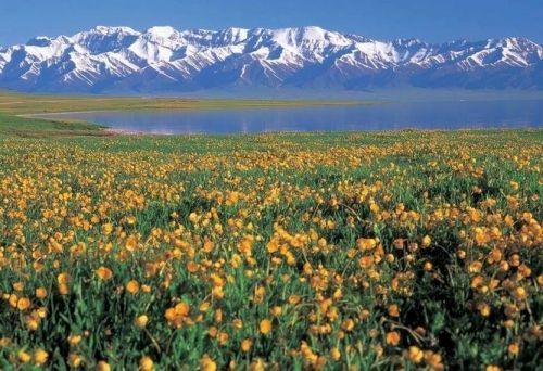 ����ľ�������ƽ��Ĳ�ԭ�ɾ�