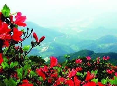 ����ɽ��ɽ��԰���涷��