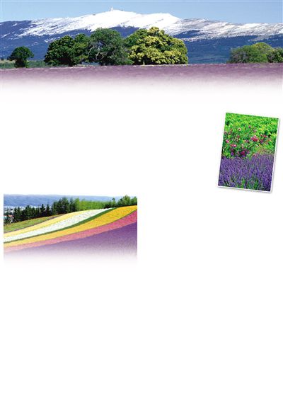 �Ļ�ʢ���ĵط�