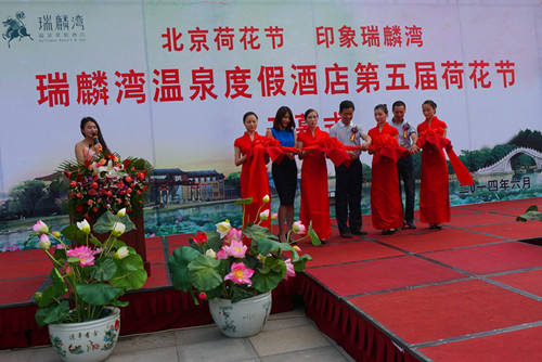 ������������Ȫ�ȼپƵ�