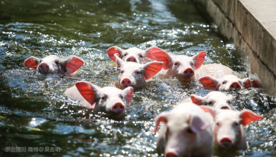 ������̬ũҵ�۹�԰