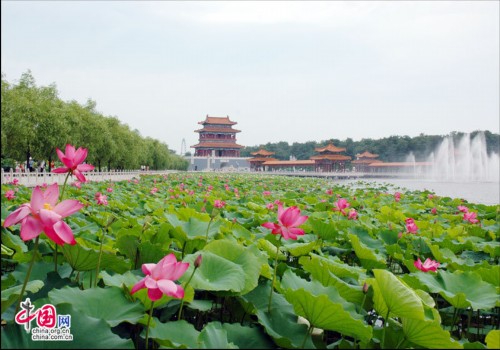 �ϴ��������¾��� �����԰������ʮ�ﻪ��Ҿ��