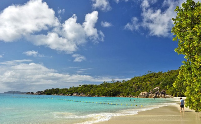 С���ٲ�ȥ��ڵ���������ʤ��(ͼ)