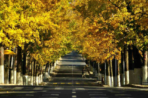 202656bhjbphp4br40j4hz.jpg.thumb