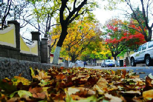 c01_78841fb0-1c85-4641-aa4d-70088ad1a9c6_2