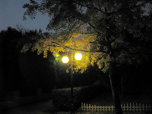 1224471435185_mthumb