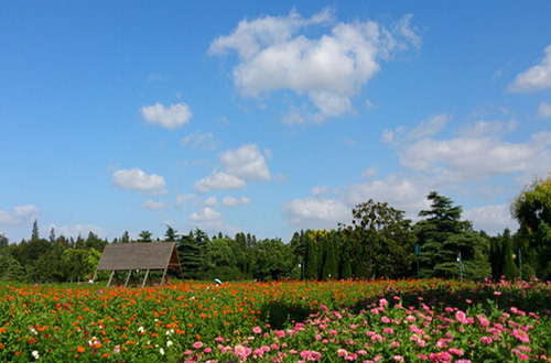 ����ɭ�ֹ�԰