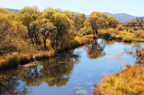 ����ɽ�������