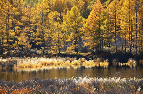 ����ɽ�����羰