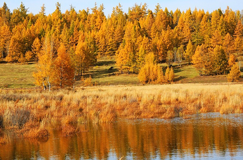 ����ɽ�����ﾰ