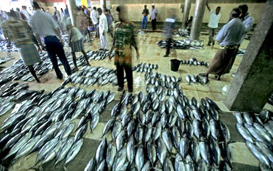 ���ͼƬ������һҳ