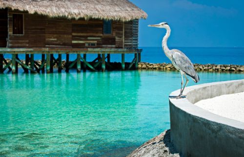 �񶬱�����������ĵ�101������