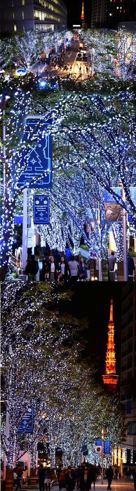 ʥ���ձ������� �����������ĵƹ��쾰