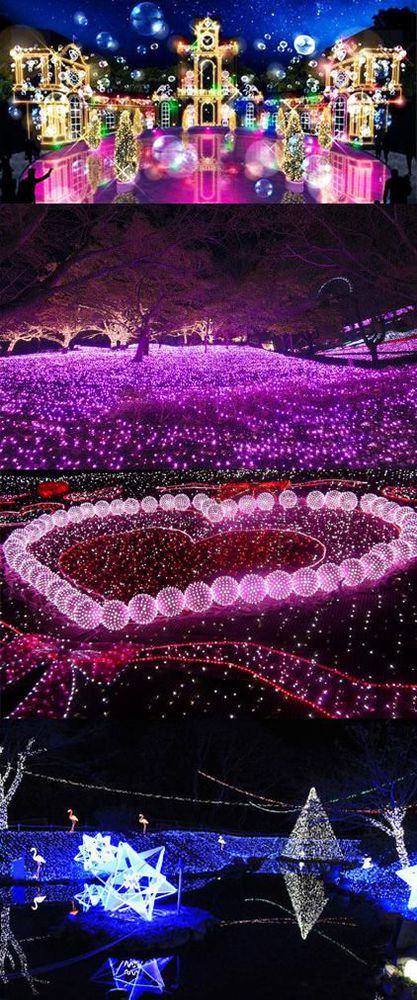 ʥ���ձ������� �����������ĵƹ��쾰