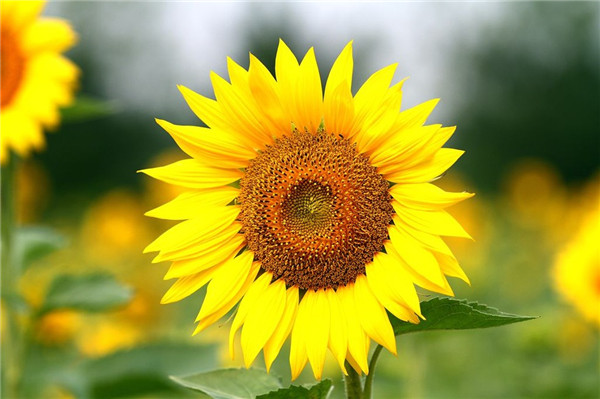 �ļ������ͻ���ȥ�� �̵㱱��7����Щ���������Ļ�չ