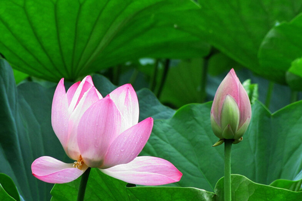 �ļ������ͻ���ȥ�� �̵㱱��7����Щ���������Ļ�չ