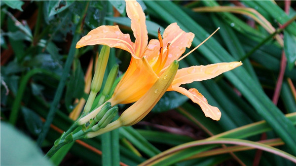 �ļ������ͻ���ȥ�� �̵㱱��7����Щ���������Ļ�չ