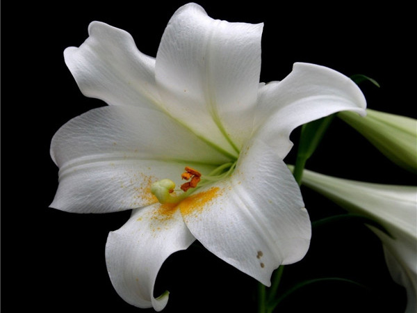 �ļ������ͻ���ȥ�� �̵㱱��7����Щ���������Ļ�չ