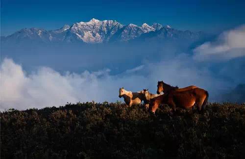 �����ˣ�ϸ���Ĵ�12������ɽ��