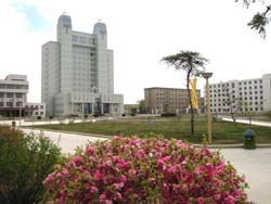 ������ѧ