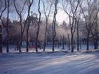 ������ѧ