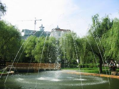 ����������ѧ