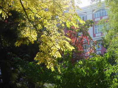 ������ҵ��ѧ