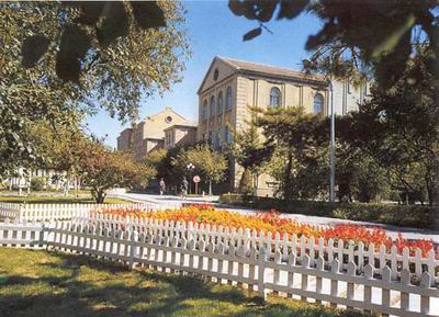 ������ѧ