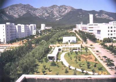 ������ѧ