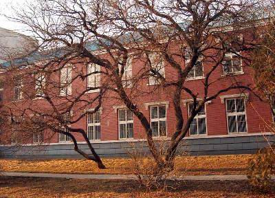 ����ũҵ��ѧ