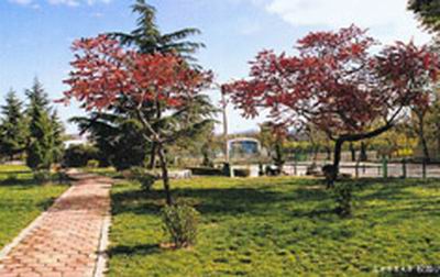 ����ʦ����ѧ