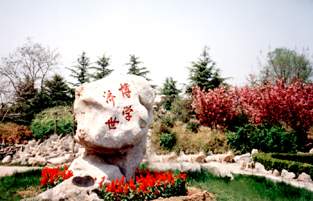 �����ƾ���ѧ