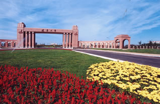 ������ѧ