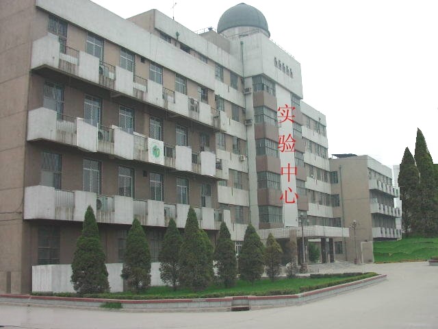 �ӱ�ʦ����ѧ