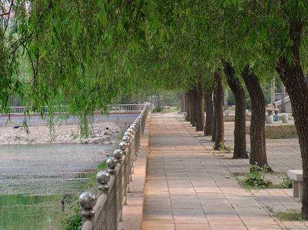 �ӱ���ó��ѧ