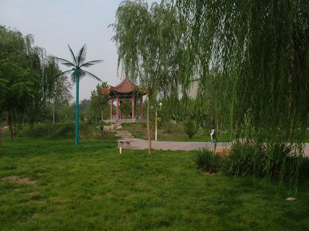 �ӱ���ó��ѧ