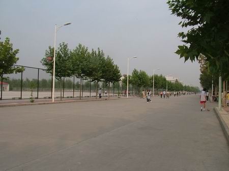 �ӱ���ó��ѧ