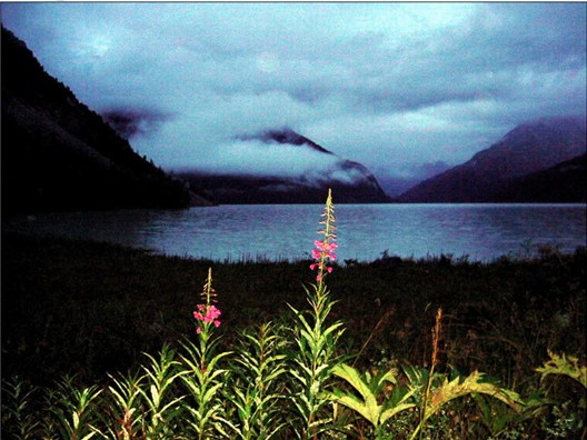 ���˿��պ�