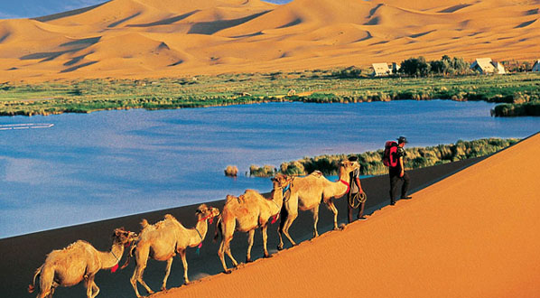 �ڸ������������