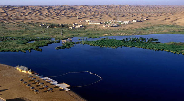 �ڸ������������