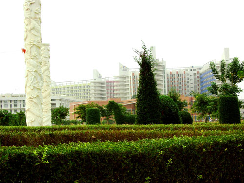 �ɶ���Ϣ����ѧԺ