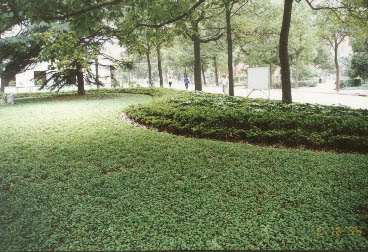 �Ϻ�ʦ����ѧ