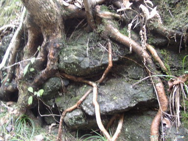 ���ӺӴ�Ͽ��