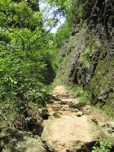 �������ѹ�