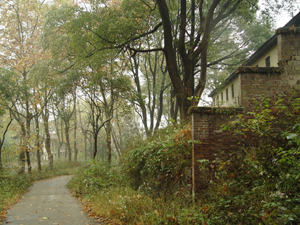 �ķ�ɽֲ��԰