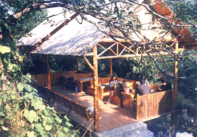 ̨ɽ��������