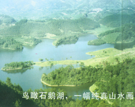 ʯ����������